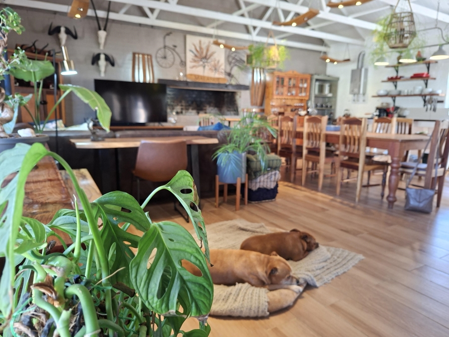 2 Bedroom Property for Sale in Pringle Bay Western Cape
